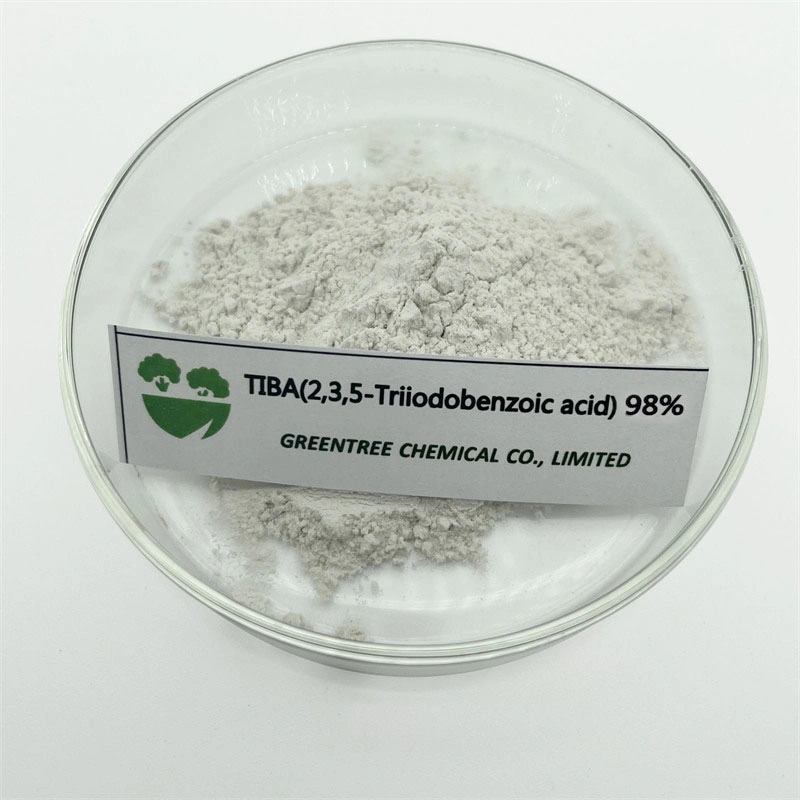 88-82-4 Plant Flowering Hormones 2 3 5-Triiodobenzoic Acid Tiba 98%Tc