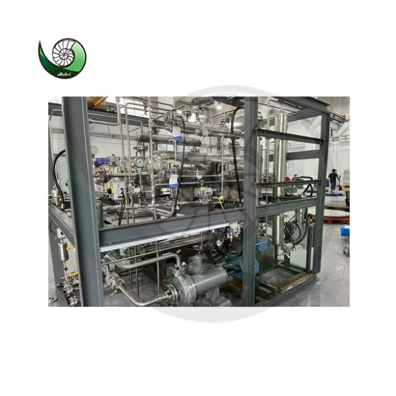 Rubri 200/500/1000nm3 Alkaline Water Electrolysis Plant Hydrogen Gas Generator 16bar 30bar