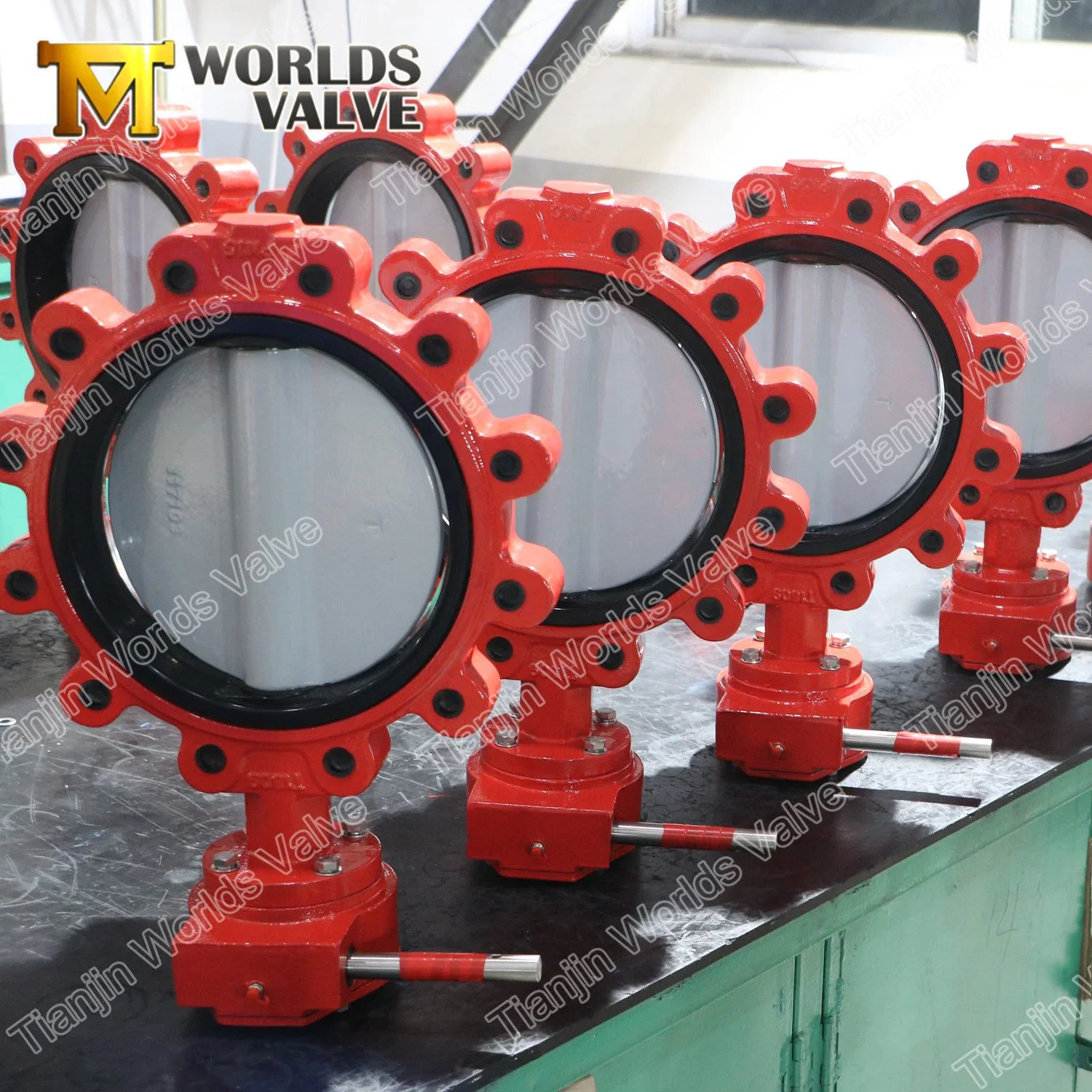 Cartridge Rubber Seat Soft Wafe Lugged Type Butterfly Valve with Nylon Painting Disc