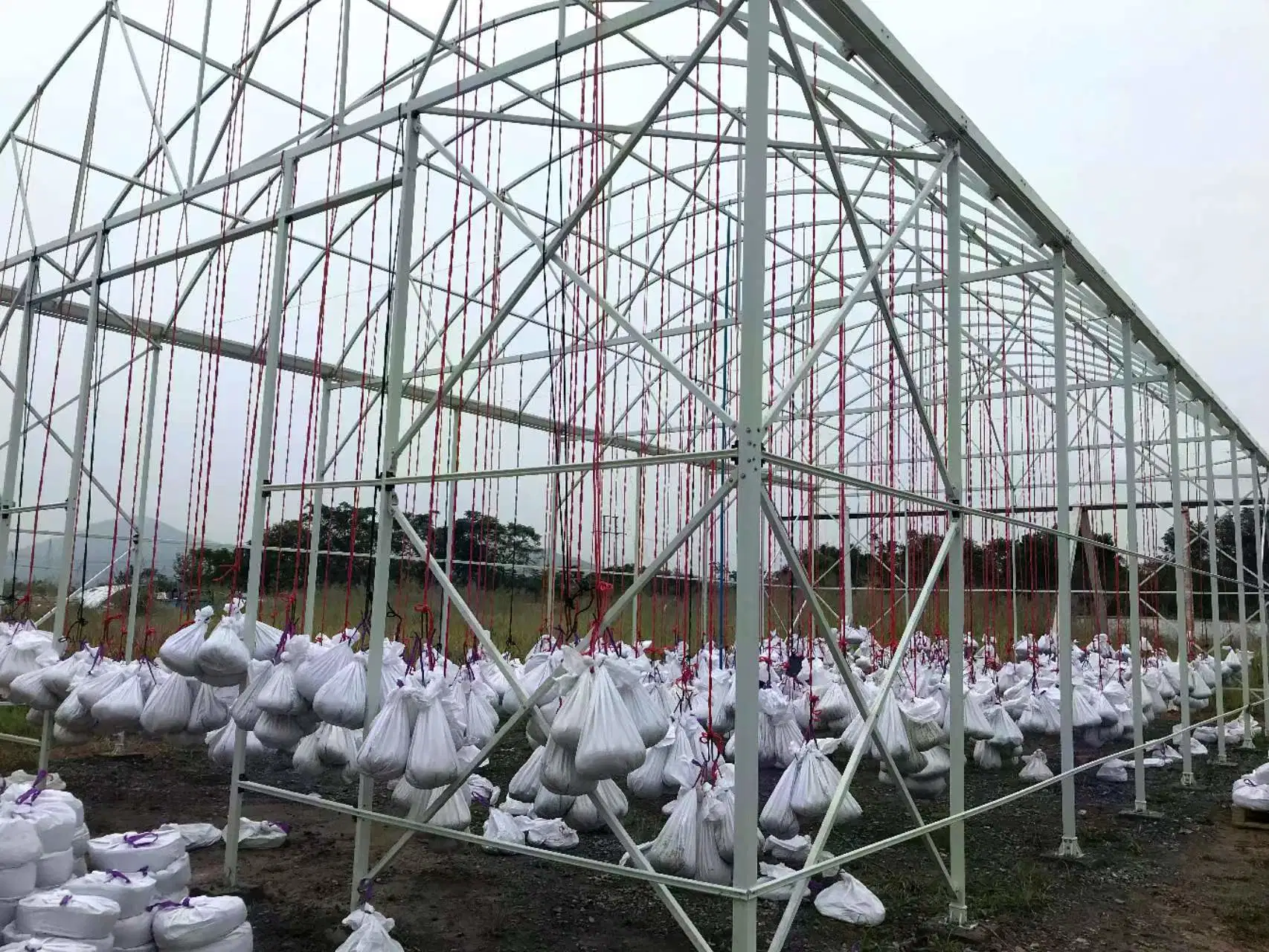 Casa Verde de vidro tipo Venlo agrícola com sistema hidropônico para Legumes