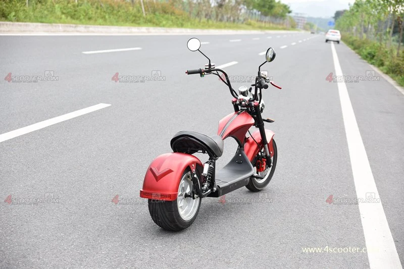 Wholesale/Supplier EEC Adult Electric Scooter Bike on Best Price