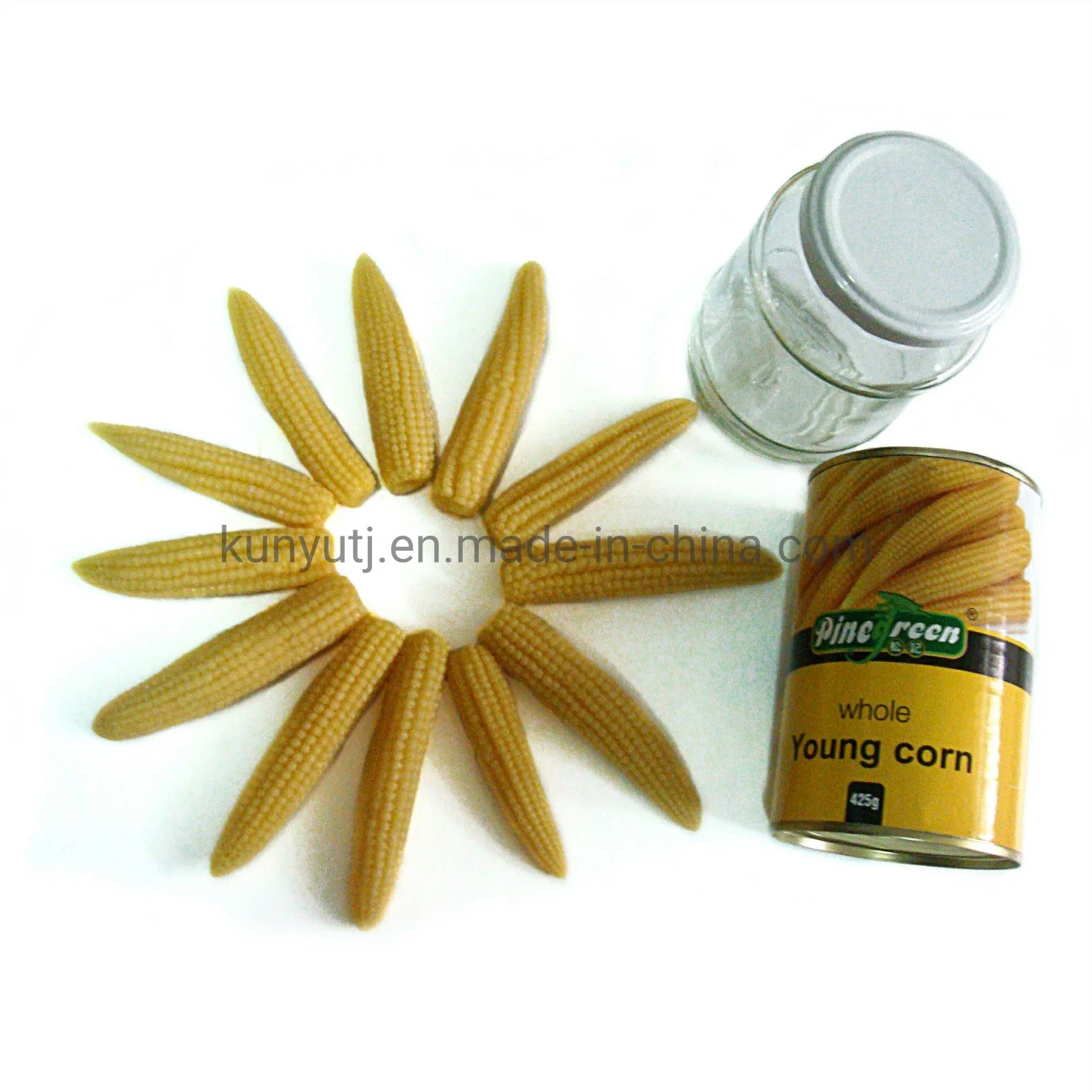 Manufacturer Canned Food Vegetables Bulk Wholesale 2840g Canned Baby Corn with Factory Price