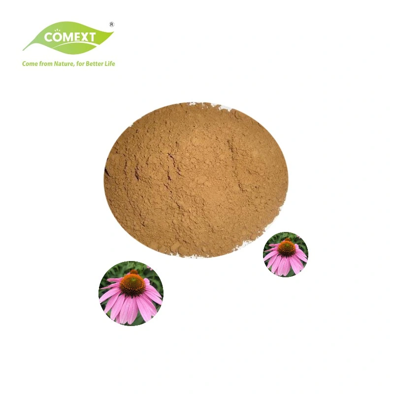 Comext Factory Direct Supply High Water-Soluble Echinacea Extract 4: 1 Echinacea Powder