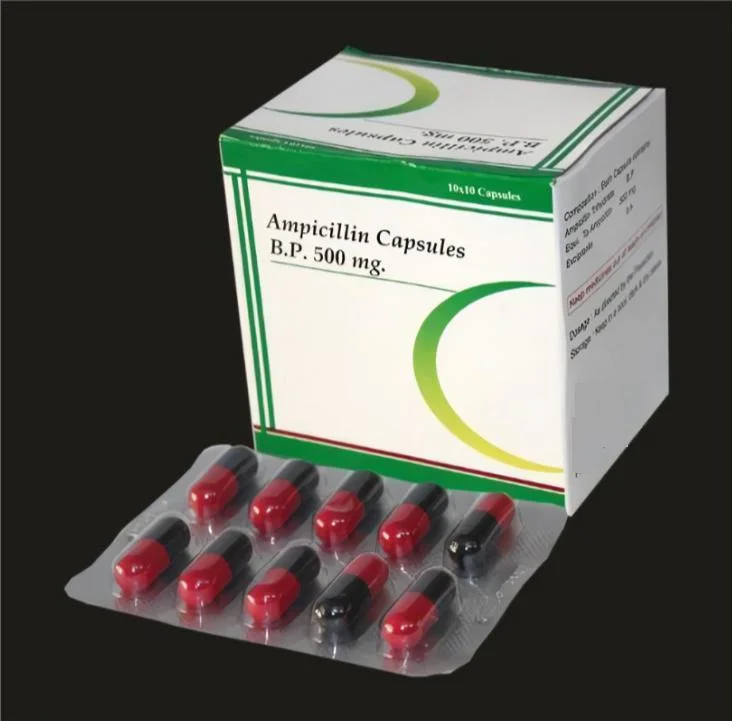 Best Price Ampicillin Capsules 250mg/500mg with GMP