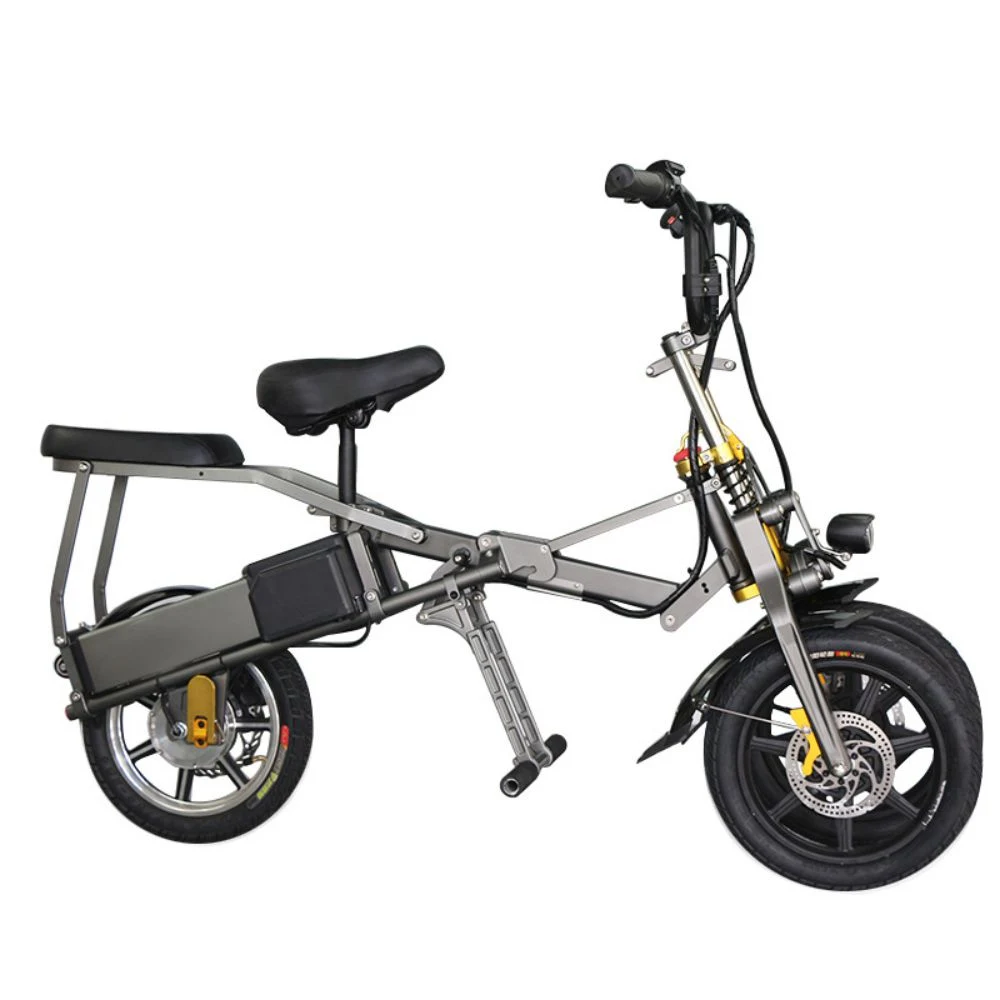 CE En15194 Popular New Design Hidden Battery 3 Wheel Electric Bicycle