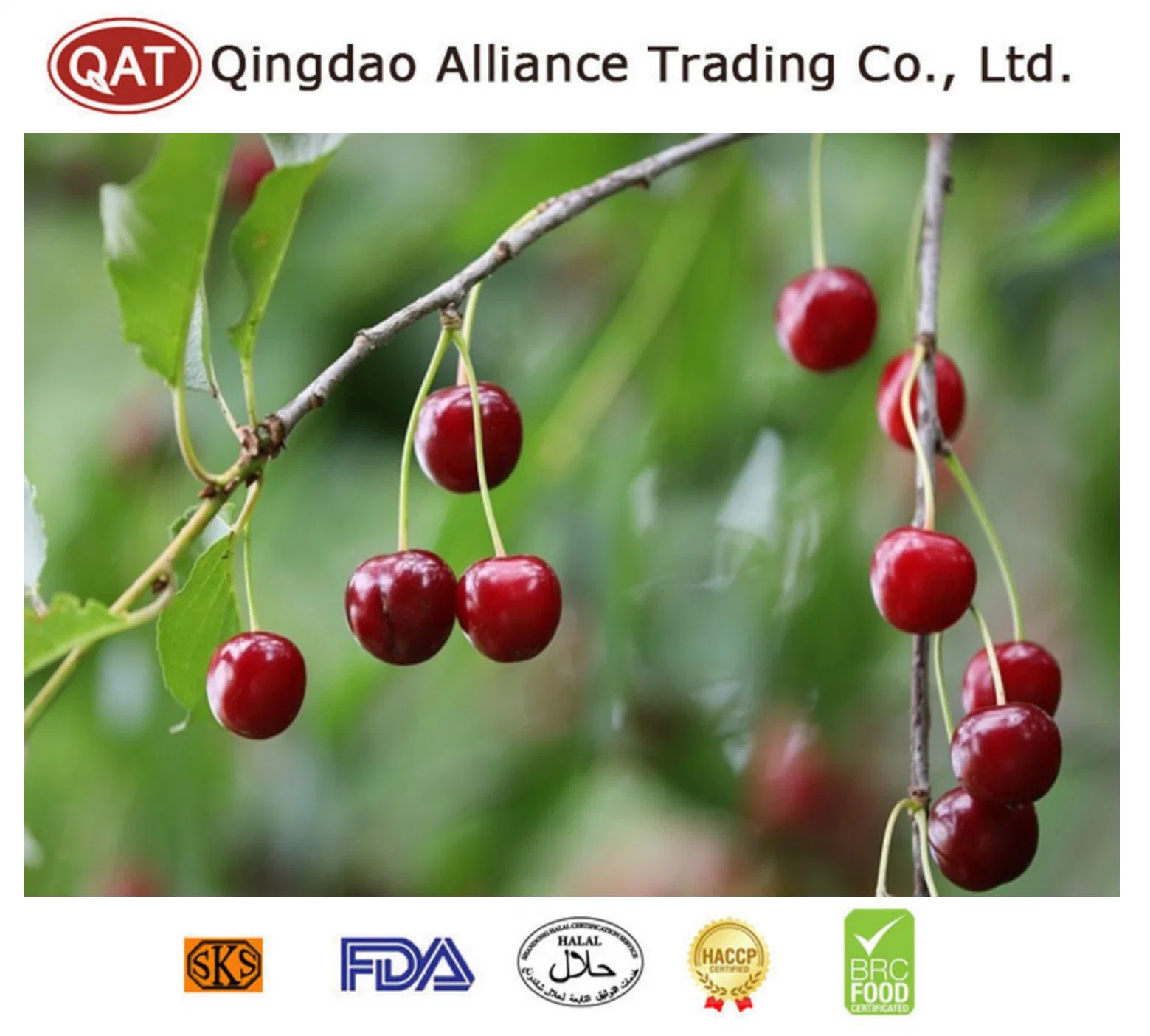 Global Hot Sale New Crop IQF Fruits Sour Cherry with Top Quality