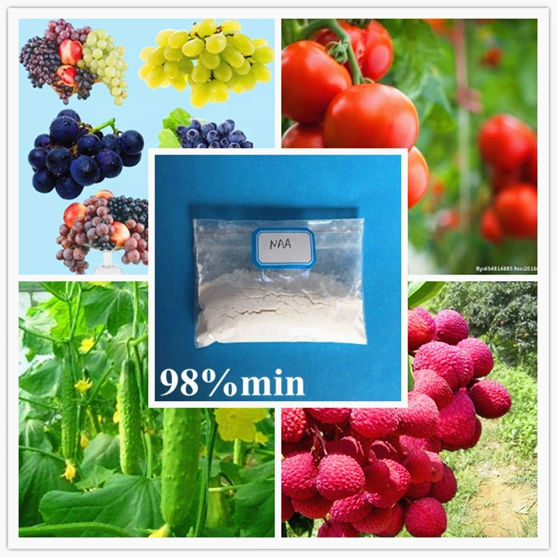 Plant Growth Regulator 4-Iodophenoxyacetic acid(IDA) 98% TC