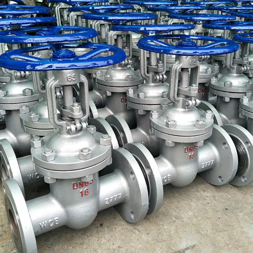 GOST Poud Grade Grey Iron Body Wedge Double Disc Flange Rising Copper Alloy Seal Gate Valve for Water Vapour