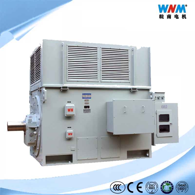 IEC Standard High quality/High cost performance  Premium Efficiency Three Phase Induction AC Motor Drive in Electrical Control System for Cements Mining Food Plant Textile