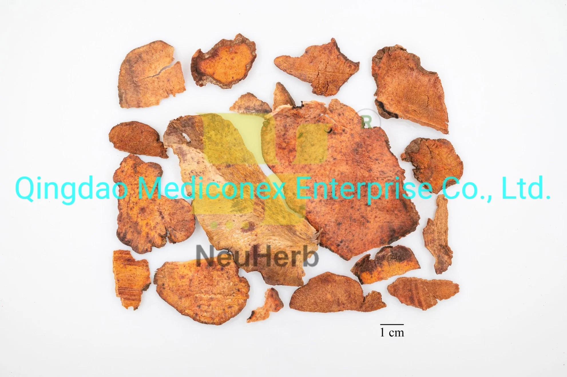 Chrysanthemum Indicum (capitulum) Herbal Raw Material Prepared Traditional Chinese Herbal Medicine Virus