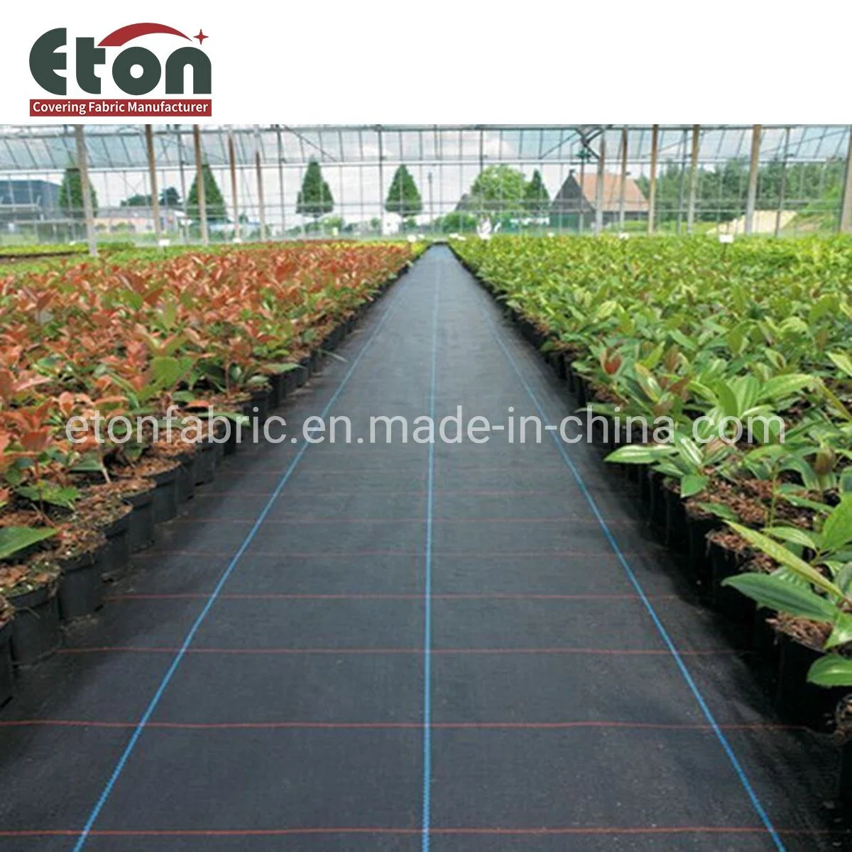 Custom Garden Agricultural Greenhouse PP Woven/Non-Woven Weed Control