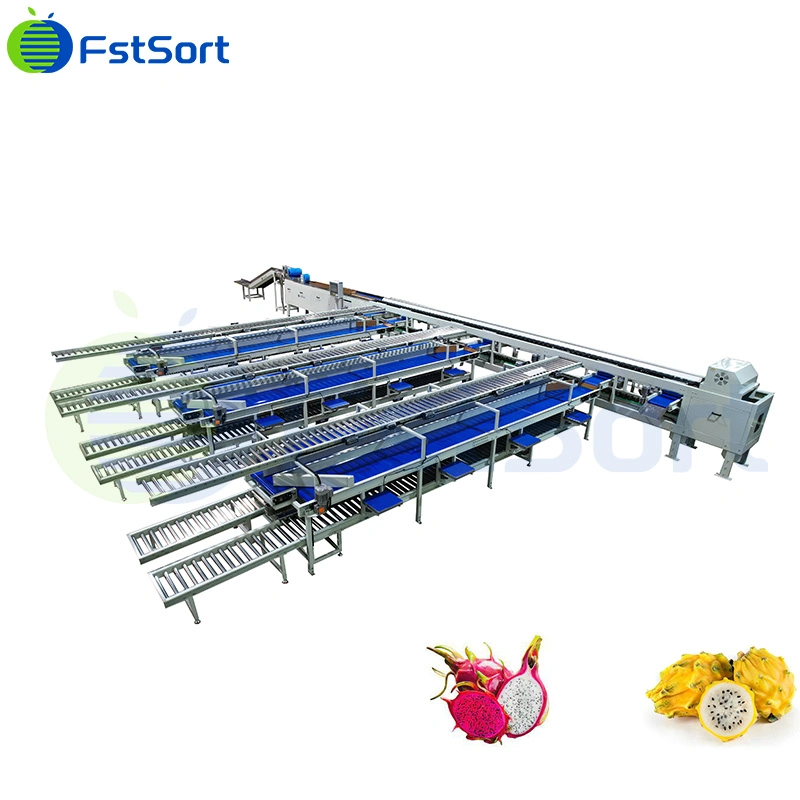 Dragon Fruit Electronic Weighing Grader Six Grades Pitaya Sorting Machine Dragon Fruit Packing Equipment Dragon Fruit Washing Machine Grading Equipment