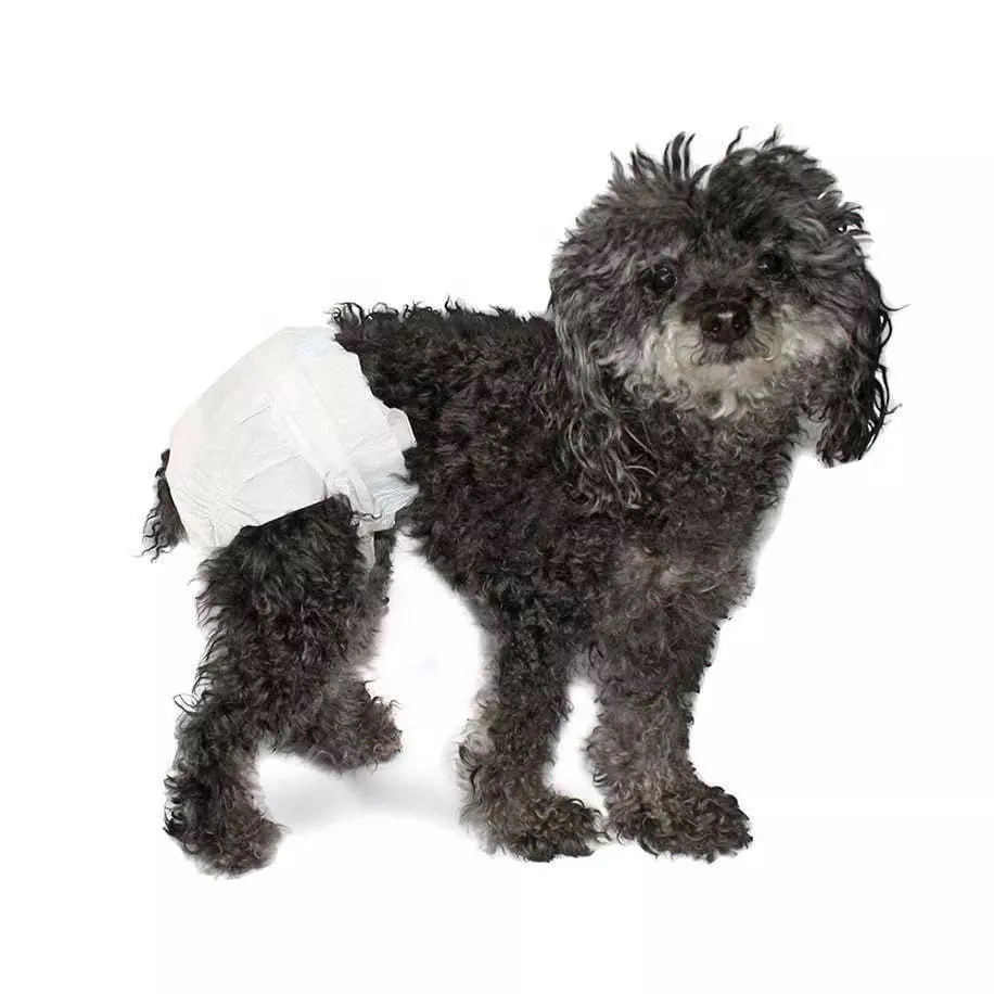 Disposable Dog Supplies Leak Proof Nappies Pet Puppy Menstrual Pants Female Diapers