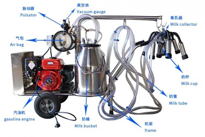 Venta en caliente portátil eléctrico máquina de Milking de una sola vaca para la venta