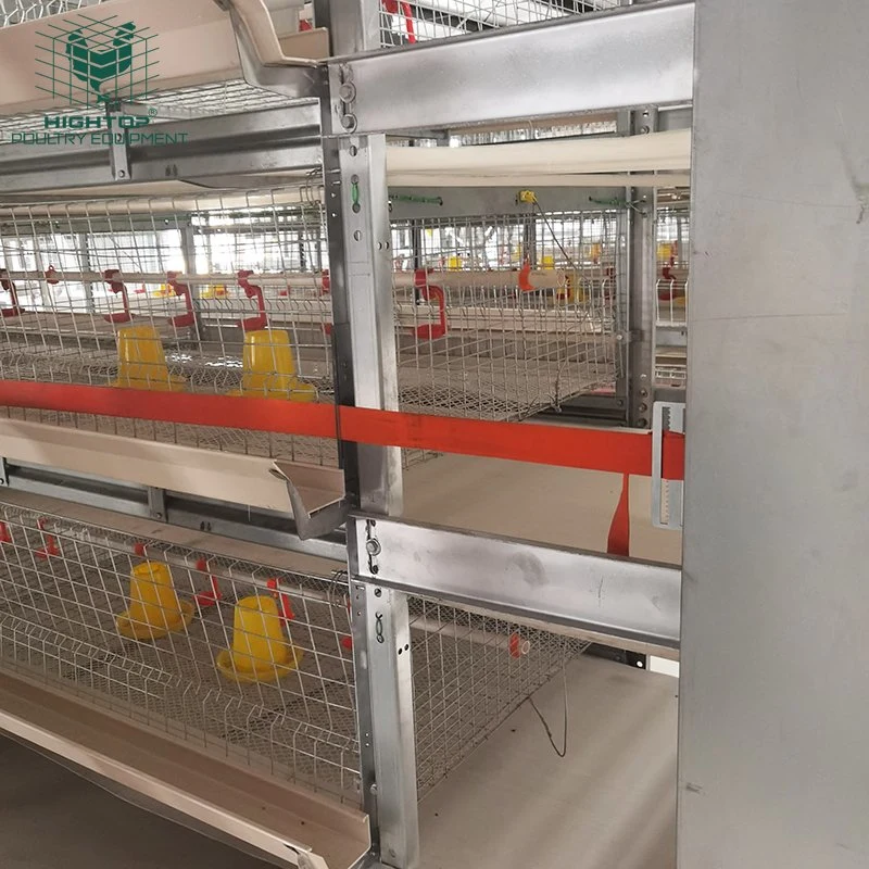 Cage de poulet de batterie de type H avec système d'alimentation automatique.