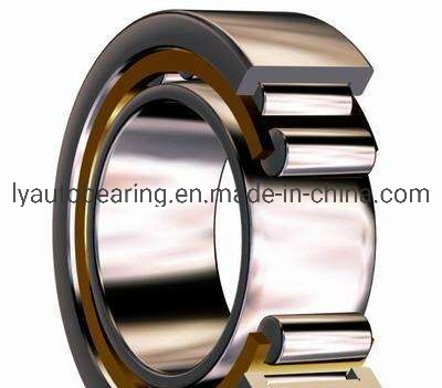 Auto Parts Double Row Cylindrical Roller Bearing (3182192K/ NN3092K/W33) Ball Bearing