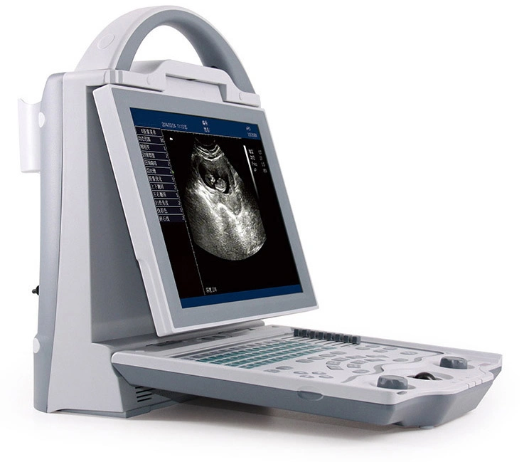 Bt-Vud60 Veterinary Clinic Equipment Veterinary Ultrasound Scanner Portable Machine