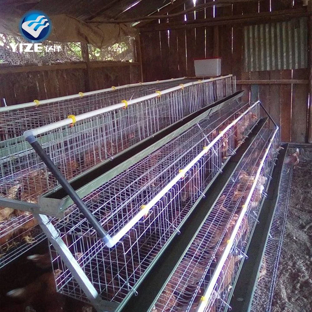 Good Selling Good Quality Chicken Farm Poultry Equipment for Sale