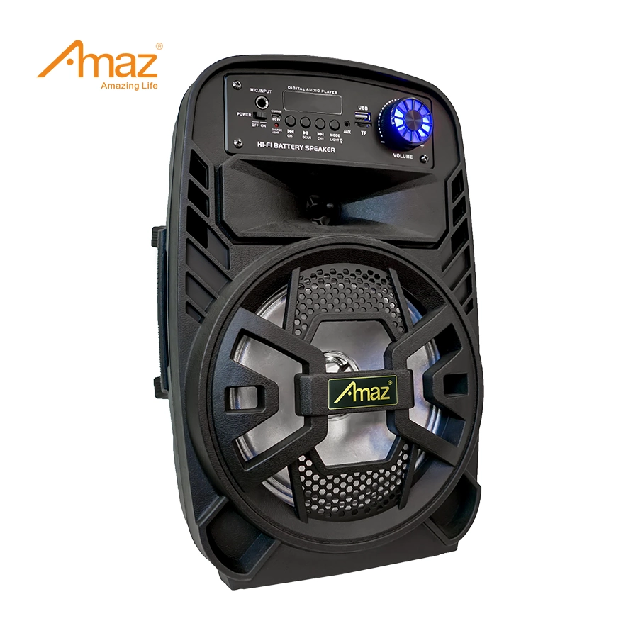 AMAZ Factory Wholesale/Supplier personnalisé 8 pouces portable Haut-parleurs Bluetooth Avec lumière RVB