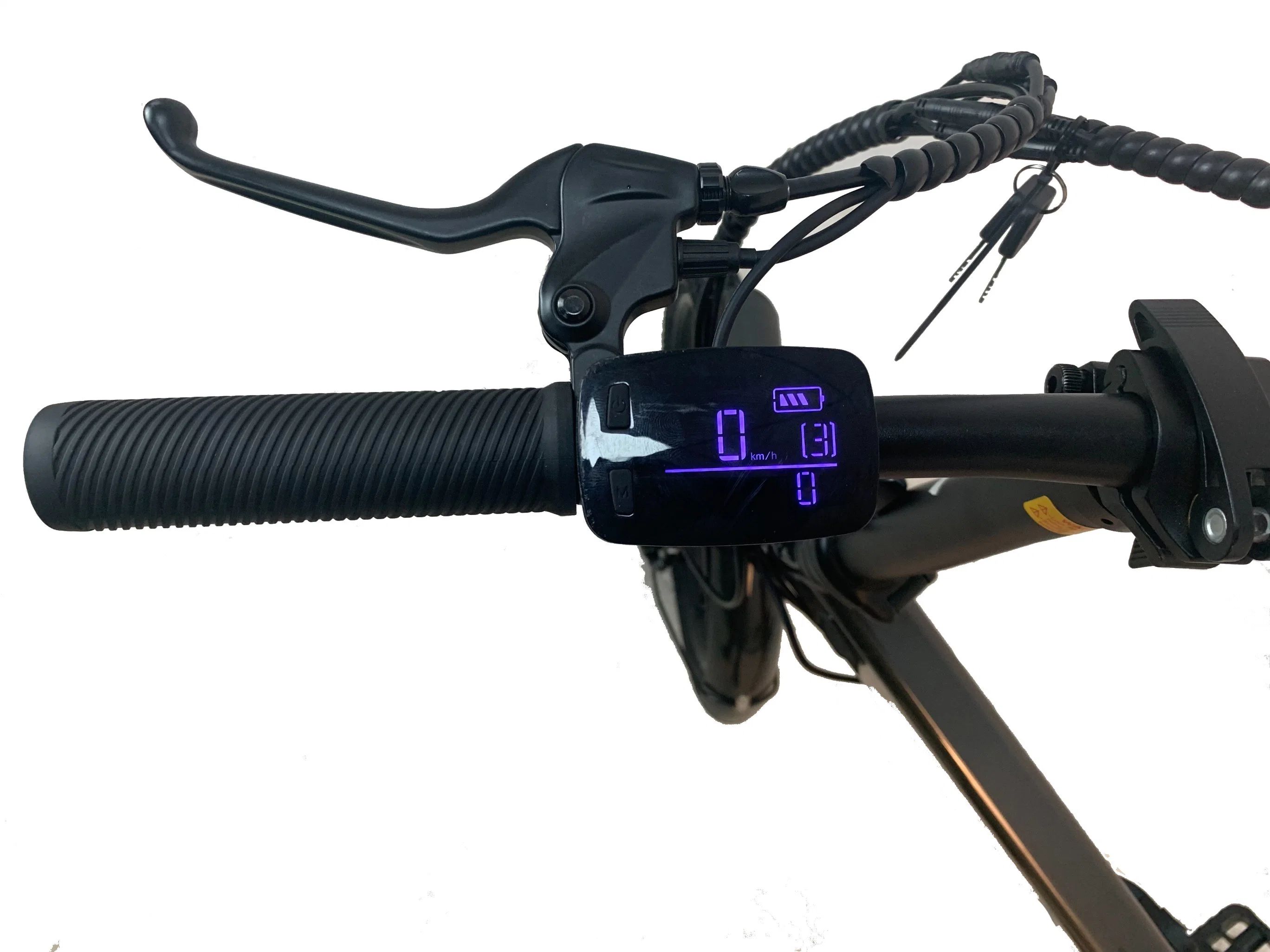 Original Factory Electric Mountain Bicycle 1000W Rear Motor Dirt Bike Other City Ebike Lithium Battery 15ah MTB