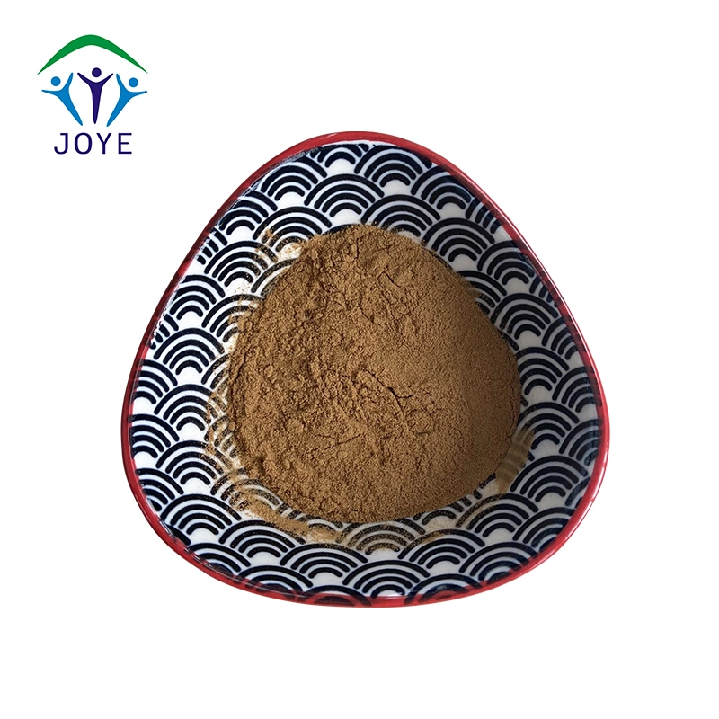 High quality/High cost performance  Chaga Mushroom P. E with Free Sample