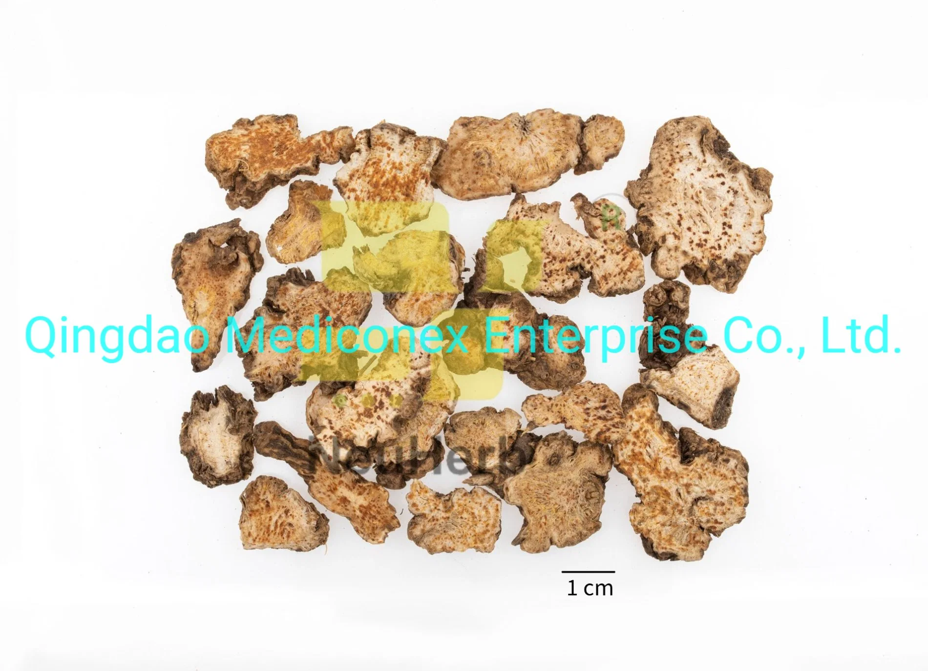Atractylodes Lancea (rizoma) extracto preparado la medicina herbaria china tradicional la expulsión de la humedad del edema