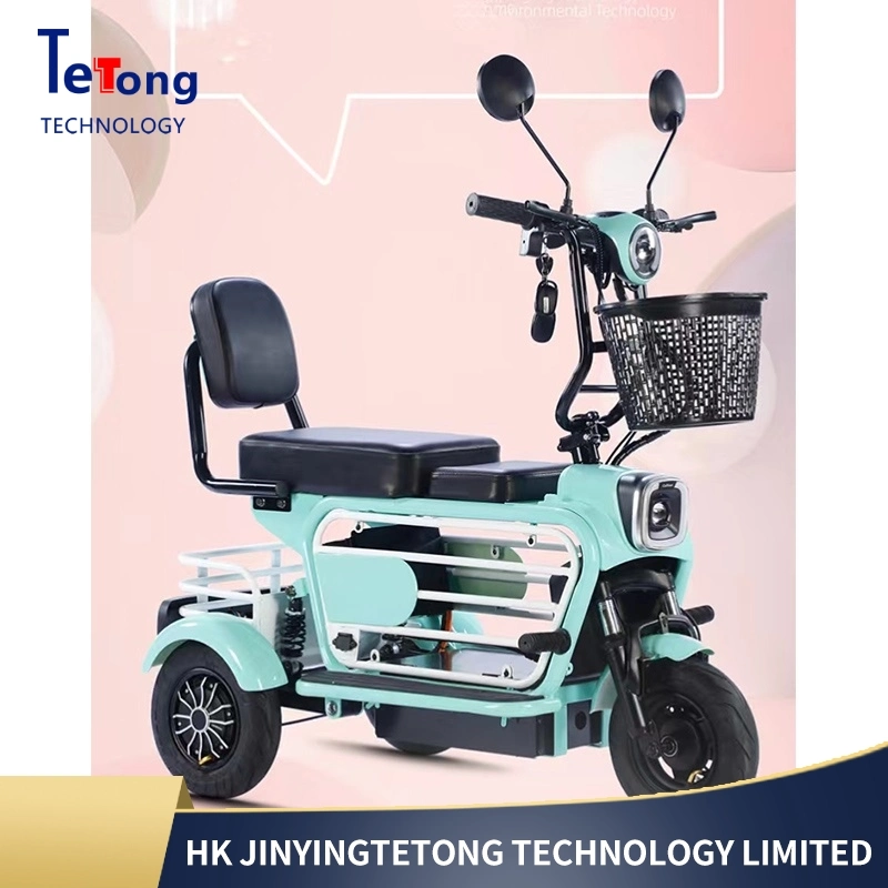 Hot Sale Three Wheel Cargo Tricycle for Take Kids / Electric Tricycle for Take Children with 600W Big Power