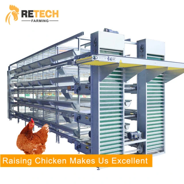 Dar Es Salaam Tanzania Poultry Farm Best Sale Chicken Layers Battery Cages