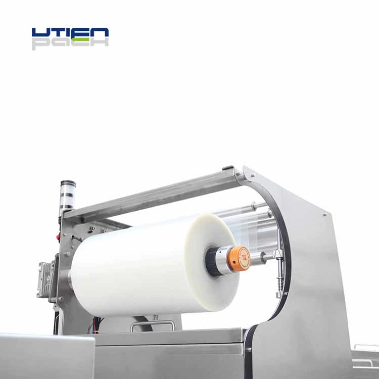 High Output 1000pk Per Hour Fresh Frozen Fish Shrimp Tuna Fillet Vacuum Map Packaging Machine