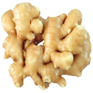 Plant Extract Ginger Extract Gingerols Effective for Blood Circulation