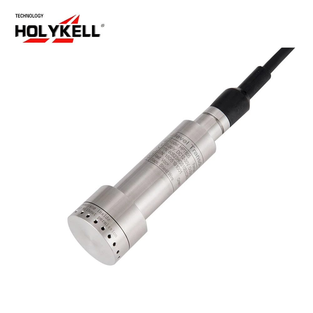 Holykell Hpt605 Water Level Sensor for Pump Groundwater, Leachate, and Contaminated Liquids