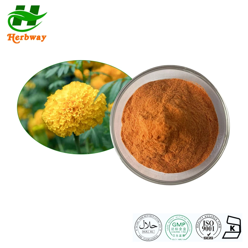 Herbway Kosher Halal FSSC certifié HACCP Lutéine Tagetes Erecta L. Marigold extrait pour protéger la vue