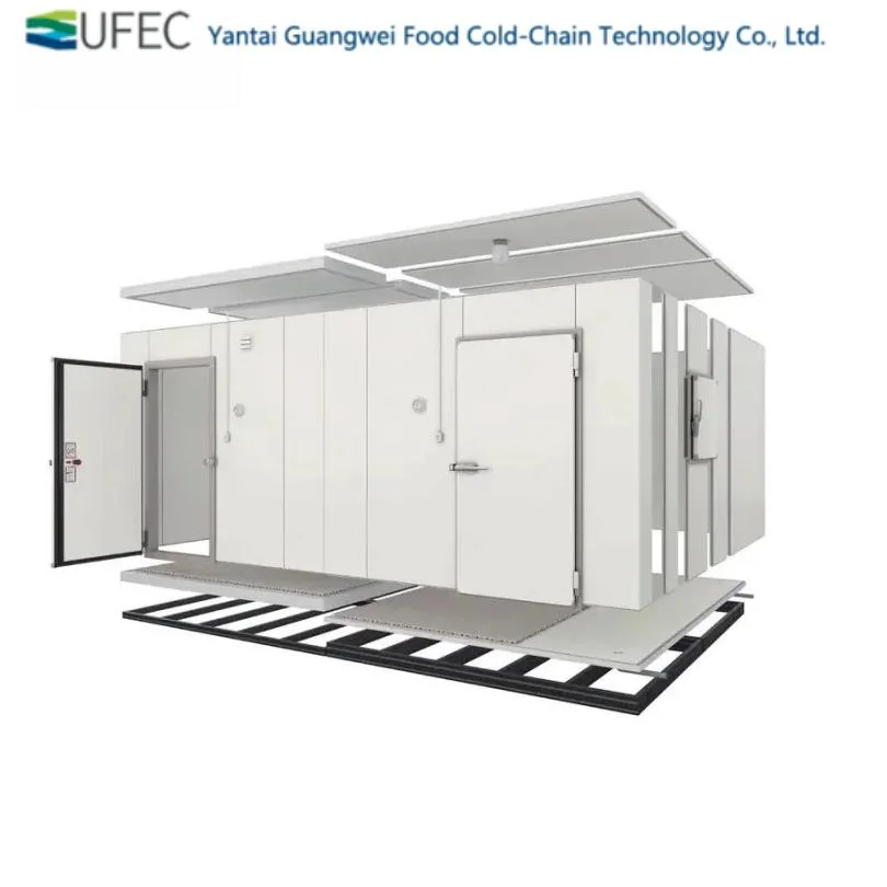 Cold Room Manufacturer Walking Freezer Cold Storage Room Customized Freezing Cool Room