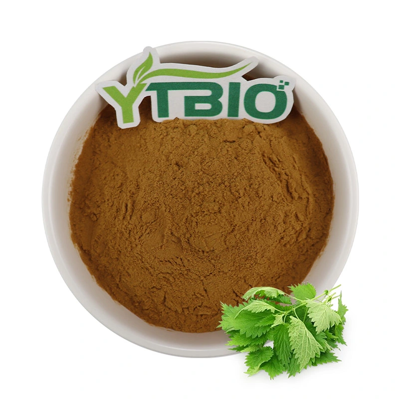 Food Grade Stinging Nettle Leaf Extract Nettle Root Extract Powder Nettle Extract