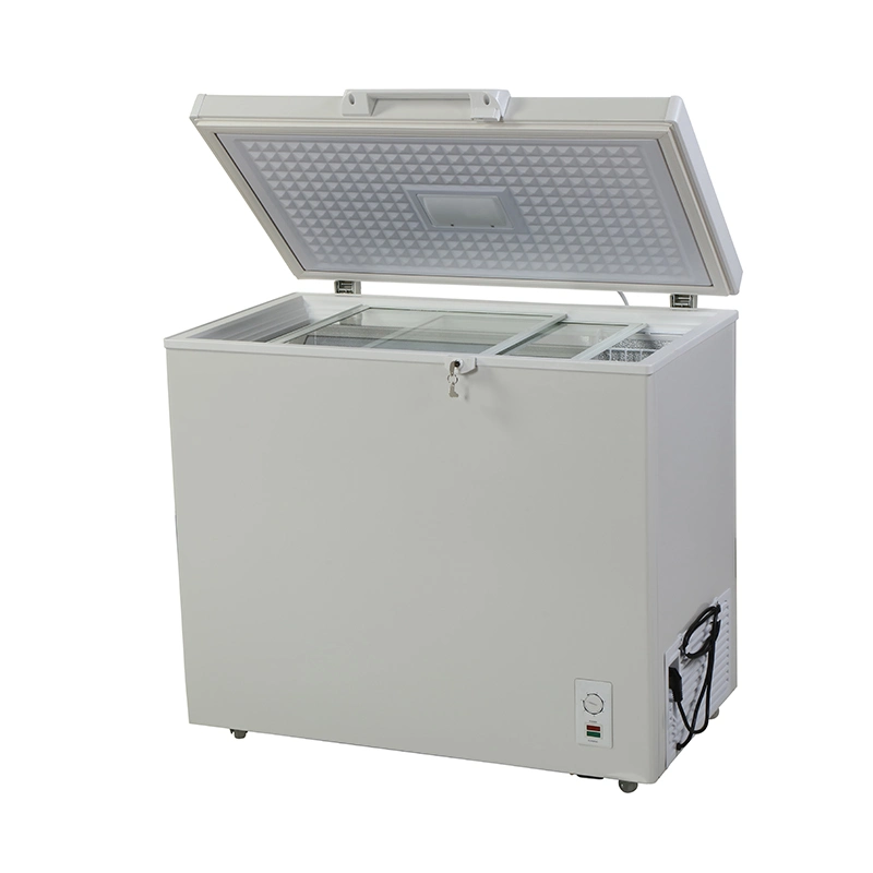 Chest Freezer Brand-Name Compressor&Silent Design of Refrigeration System Top Open Chest Freezer