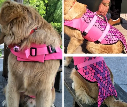 Chien de la sécurité de la courroie réglable maillot de bain preserver la vie de chien Veste réfléchissante