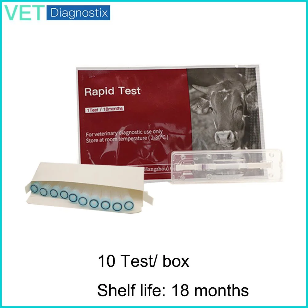 Asfv AG - Veterinary Rapid Test