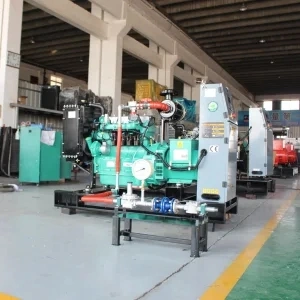 Combine Heat and Power CHP Wood Gas Pyrolysis Gas Generator 300kw - 2MW