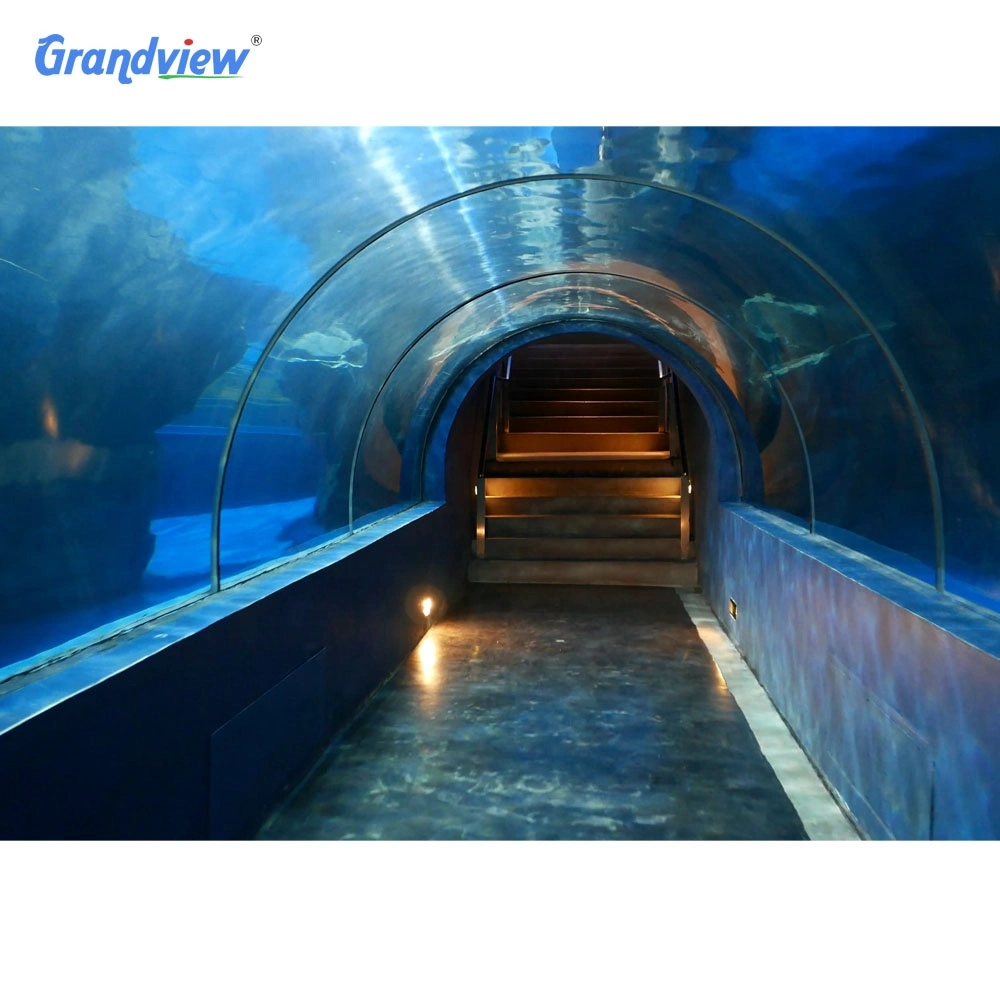 10m hojas de Plexiglás Acrílicas Océánicas transparentes de gran tamaño vidrio Túnel Acuario