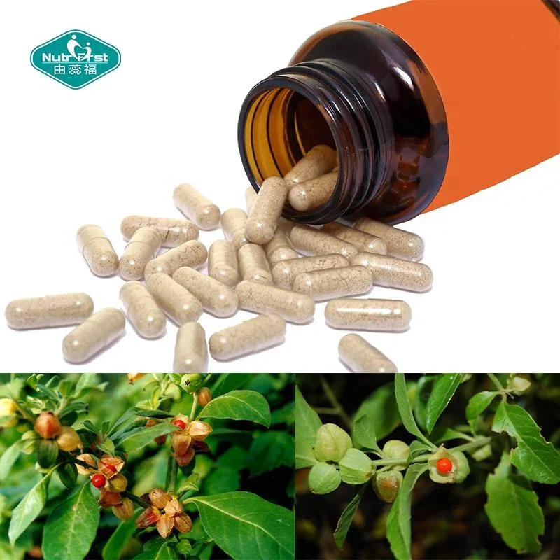 Promote Brain Function Supplements Withania Somnifera Black Pepper Ashwagandha Powder Root Extract Capsules in Bulk