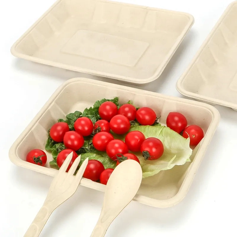 Eco-Friendly Pasta de papel biodegradable Sopa desechable cuchara helado cuchara A la venta