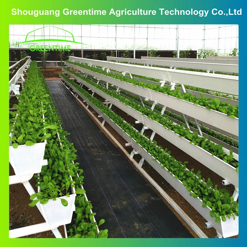 2021 Factory Price Hydroponic Growing Nft Strawberry System Indoor Greenhouse