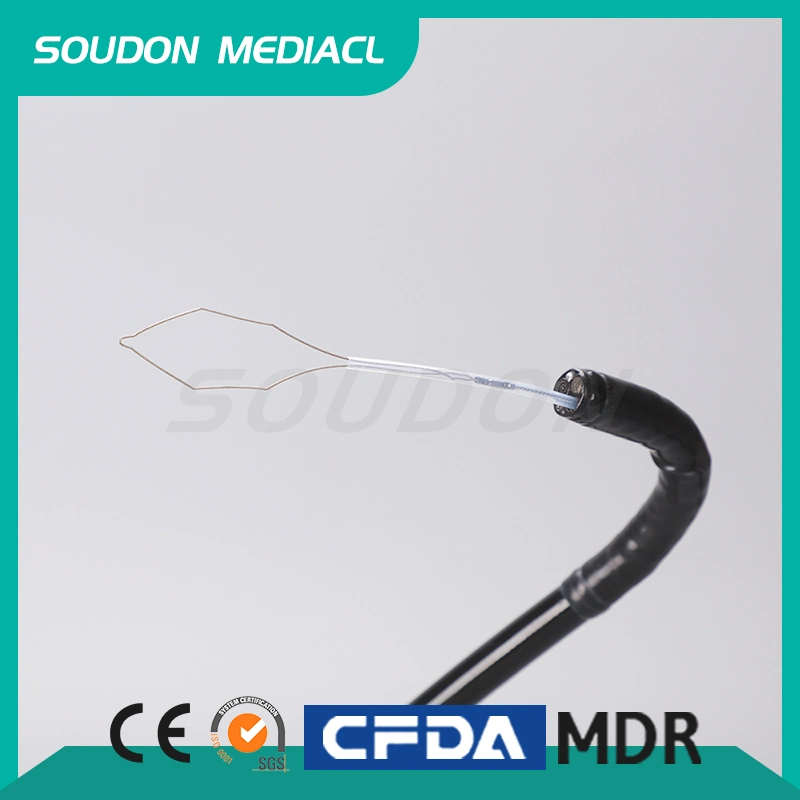 High quality/High cost performance  Medical Endoscopy Accessories Single Use Polypectomy Snare with CE Mark Hexagon Type Loop