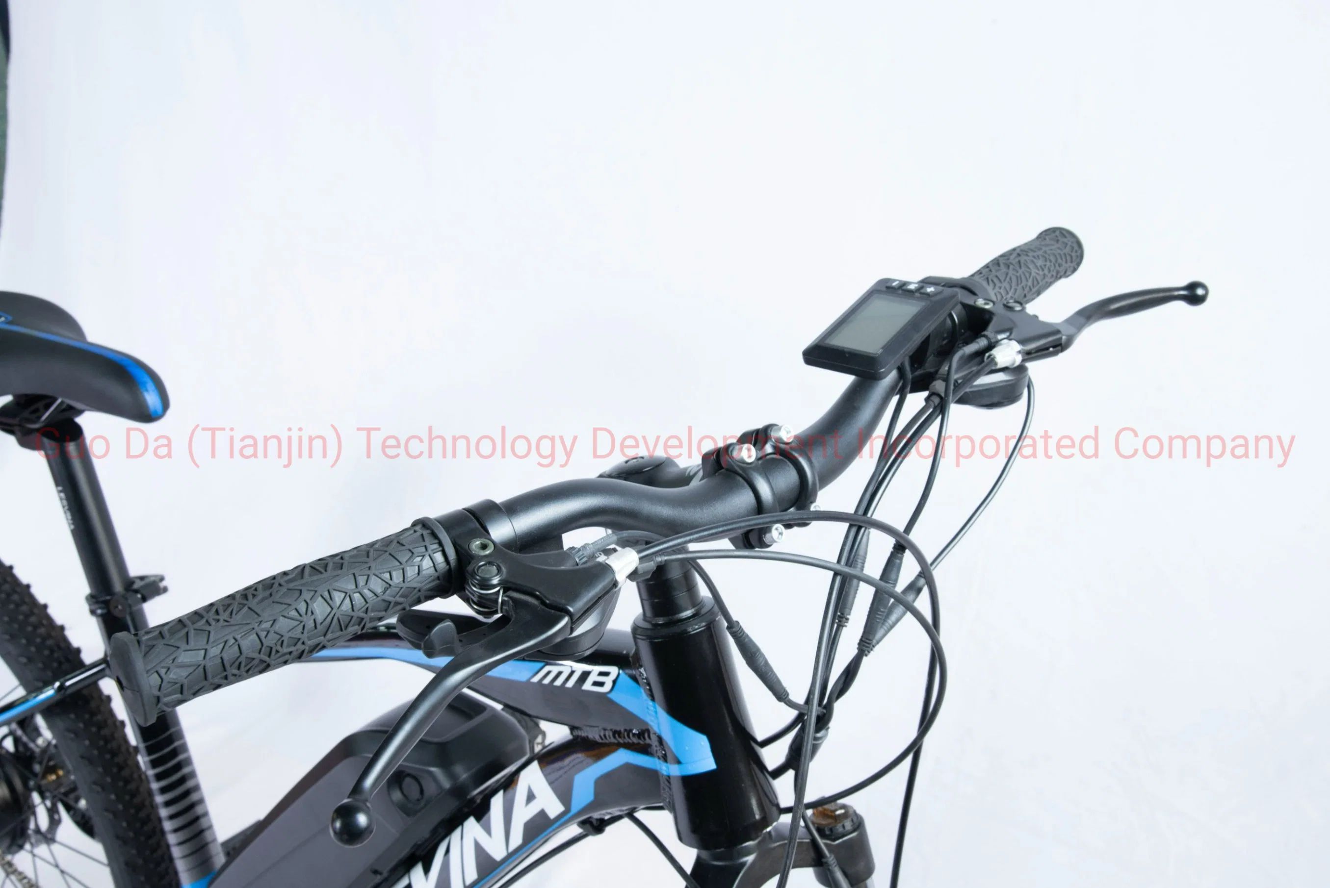 36V 300W Electric Bike Mountain Bicycle of CE Certification