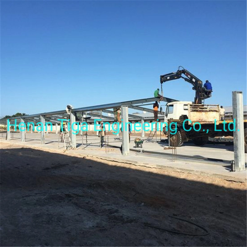 High Strength Building Construction Design Prefabricated Steel Structure Warehouse