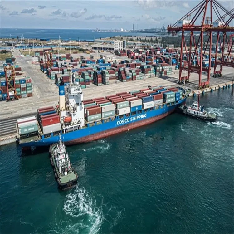 Tarifa más barata Mar Transportista Consignatario de Yiwu a Port Said Egipto