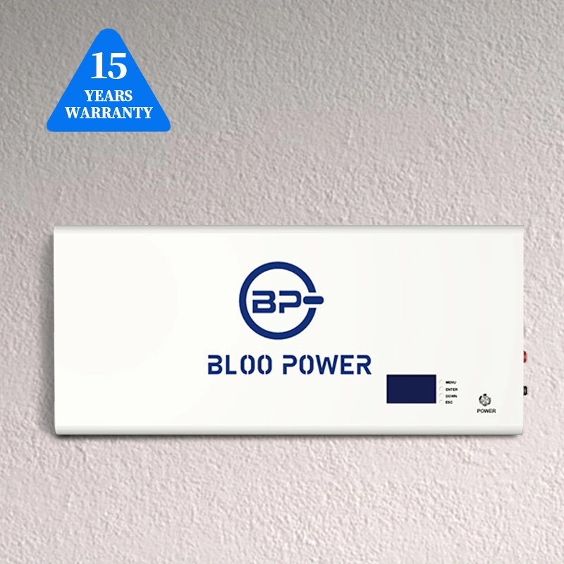 Bloopower 3.2V 12ah 80ah Energy Cell Charger Wall Mounted Use UPS Solutions Appliance High Energy Density Storage Battery