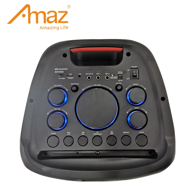 Amaz Hot Sales Double 10 Inch Sound Box Bluetooth Portable Speaker