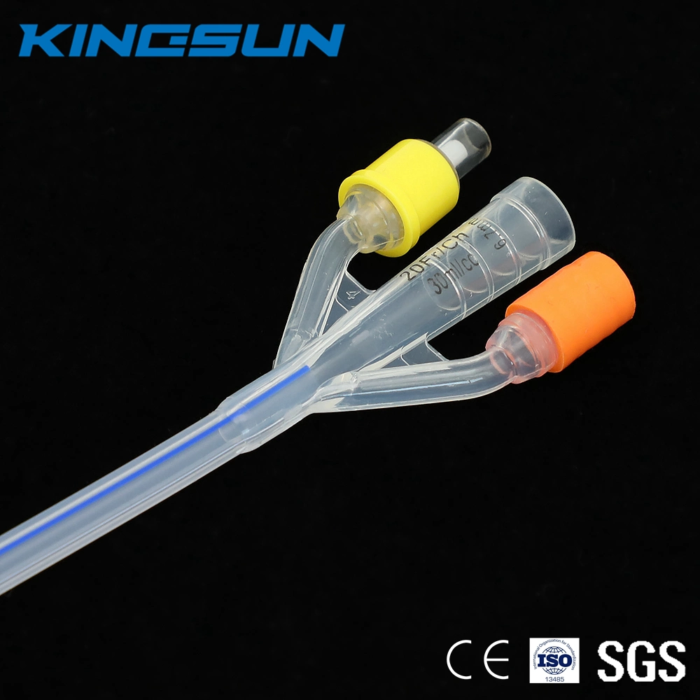 Disposable Medical 2-Way Silicone Foley Catheter/Nelaton Catheter Supplier 14fr