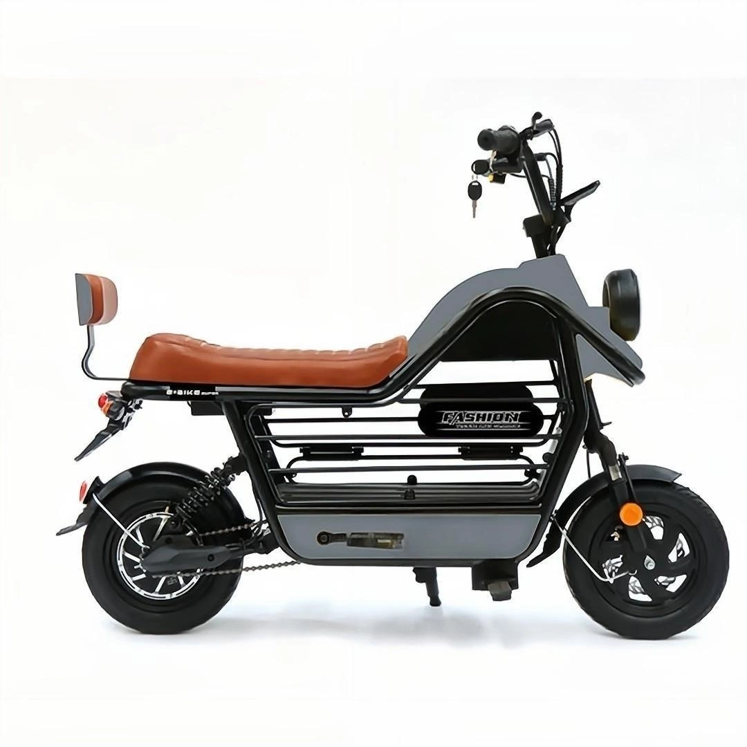 BXB-114e Familien-Shopping Warm Reisen mit Petselectric Motorbike